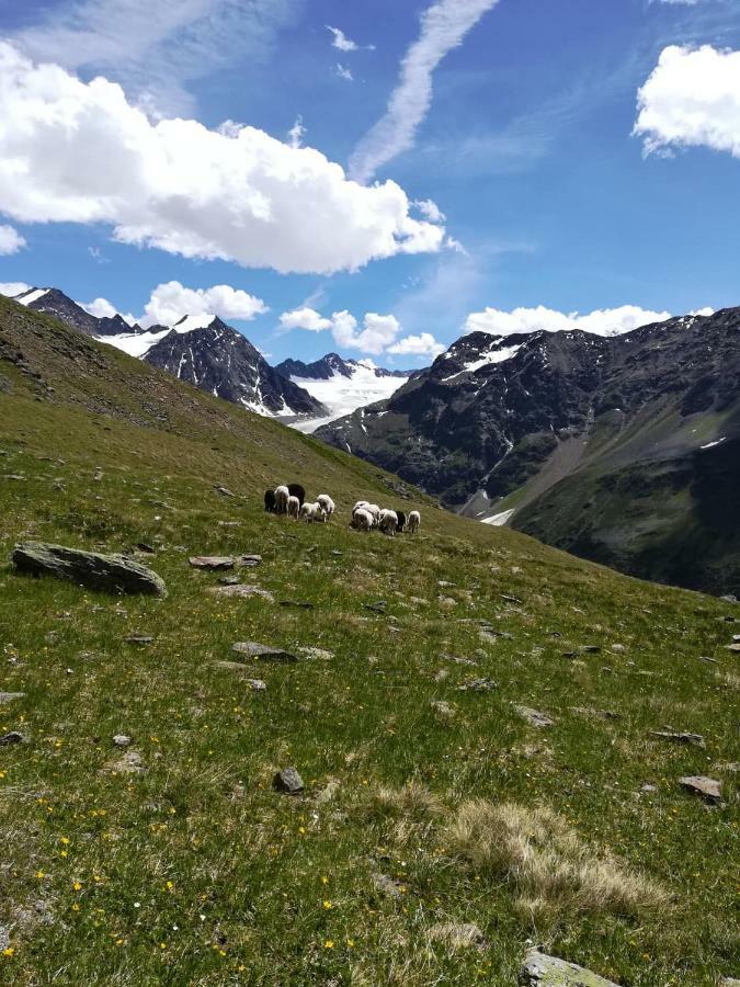 Haus Pechtl Hotel Sankt Leonhard im Pitztal Eksteriør billede